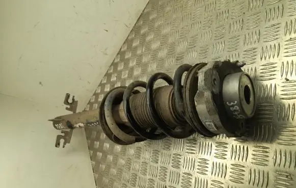 Front shock absorber/damper