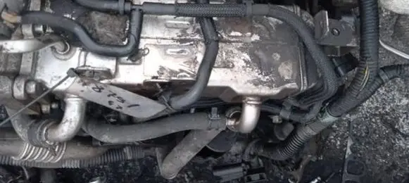 Chevrolet Cruze EGR valve cooler