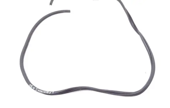 Citroen Berlingo Front door rubber seal