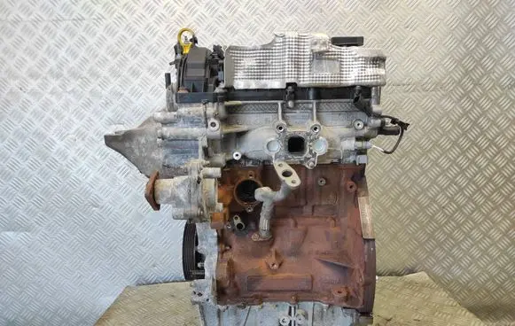 Ford Focus Engine M1DD