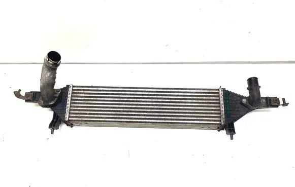 Nissan Qashqai Intercooler radiator 8ML376762201