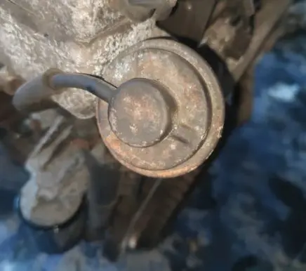 EGR valve