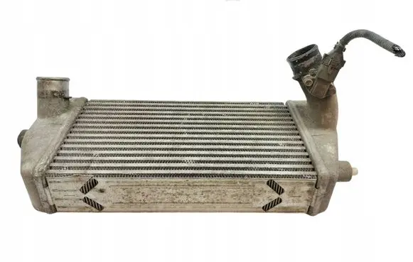 KIA Carnival Intercooler radiator 281904X90X