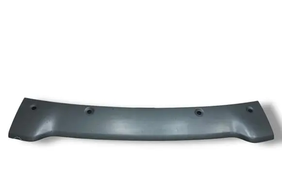Front bumper lip