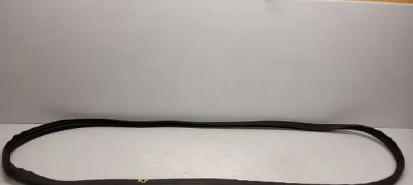 Ford Ecosport Front door rubber seal 