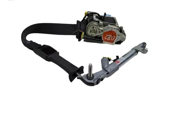 Tesla Model X Front seatbelt 100453205F 113673805E