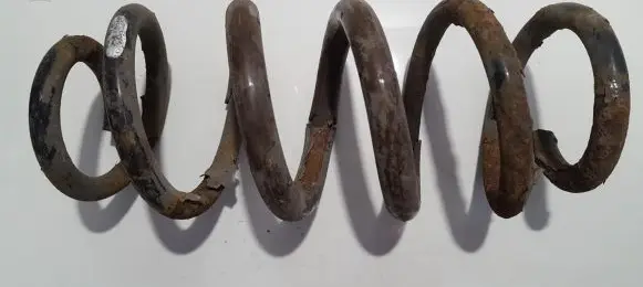 Toyota RAV 4 (XA30) Rear coil spring