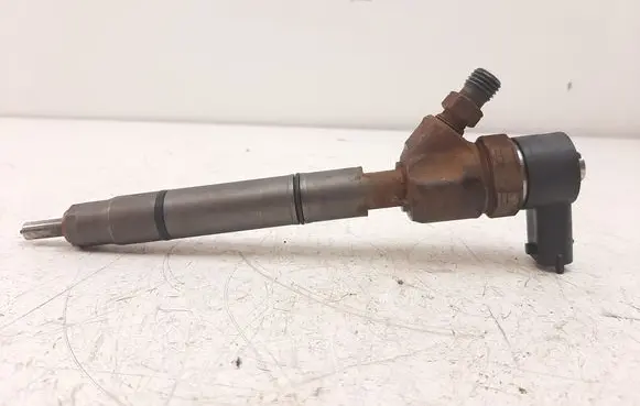 KIA Ceed Fuel injector 338002A900 0445110320