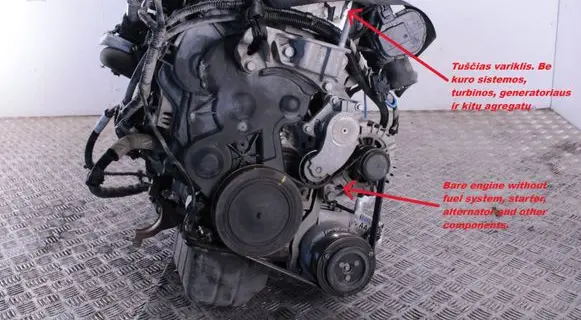 Ford Focus Engine T3DA