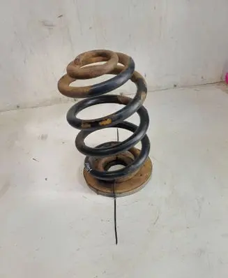 Rear coil spring