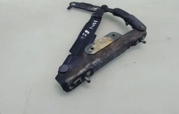 Volkswagen New Beetle Tailgate/trunk/boot hinge