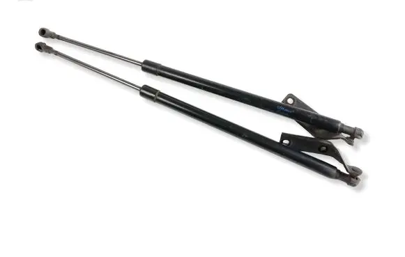 Nissan Pulsar Tailgate/trunk strut/damper 904503ZL0A