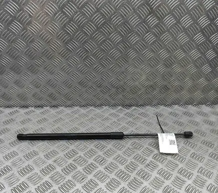 Citroen C5 Aircross Tailgate/trunk strut/damper 9817054180