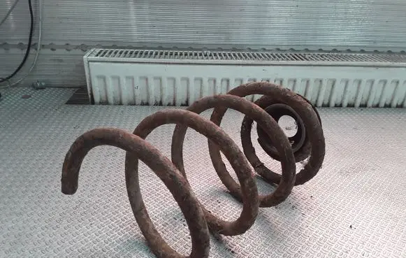 Front coil spring