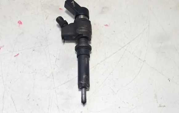 Peugeot 307 Fuel injector 9636819380