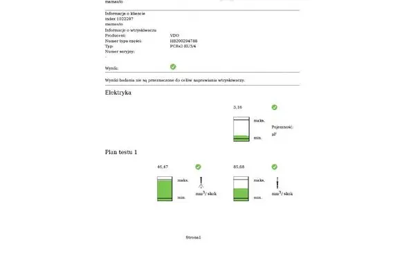 Renault Megane II Fuel injector H8200294788