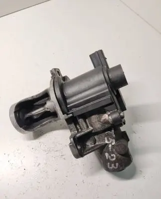 Volkswagen Multivan T5 EGR valve 700365050