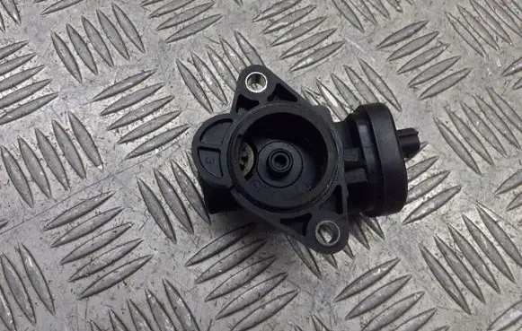 Nissan Qashqai Intake manifold valve actuator/motor 0120105161