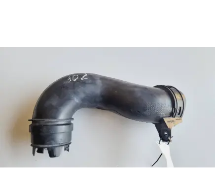 Renault Zoe Air intake duct part 1138502