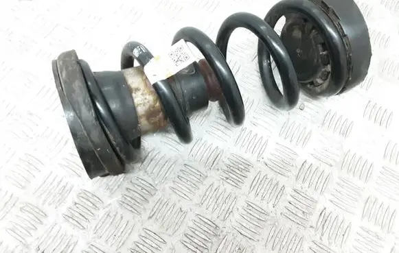Rear coil spring