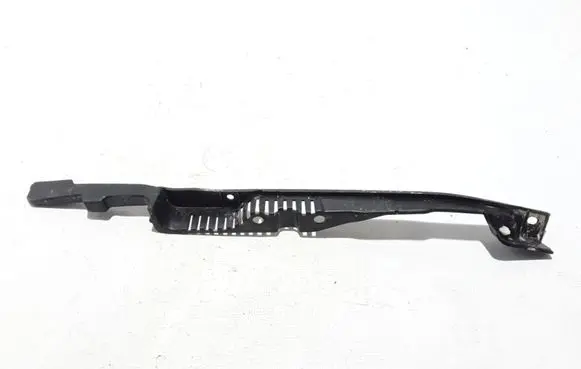 Engine bonnet/hood lock trim molding