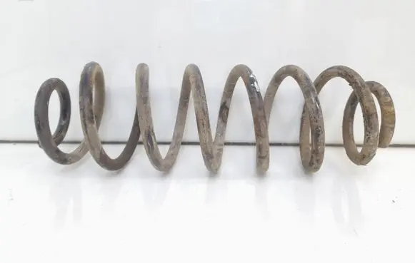 Volkswagen Jetta V Rear coil spring