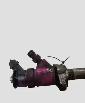Citroen C5 Fuel injector 0445110297