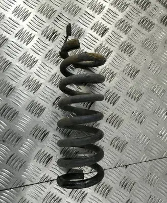 Rear coil spring