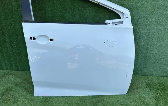 Renault Zoe Front door 801521112R