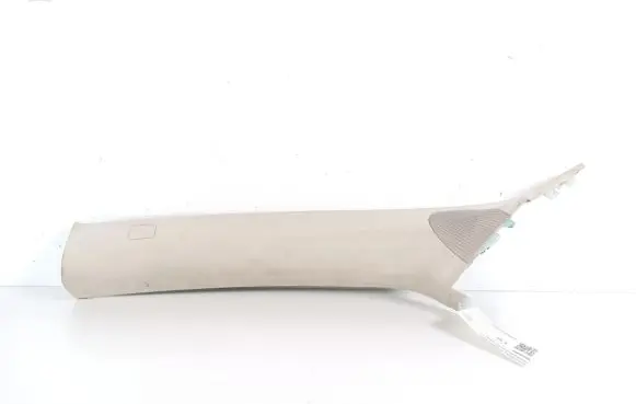 Tesla Model S Other sill/pillar trim element 100248800E