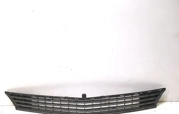 Mercedes-Benz B W245 Front bumper lower grill A1698850123