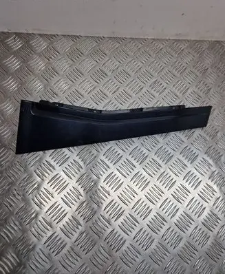 Other rear door trim element