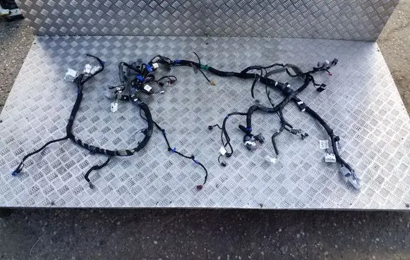 Other wiring loom