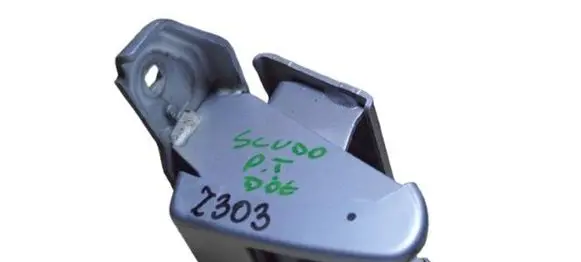 Fiat Scudo Rear door lower hinge
