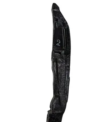 Hyundai Tucson IV NX4 Fender foam support/seal 