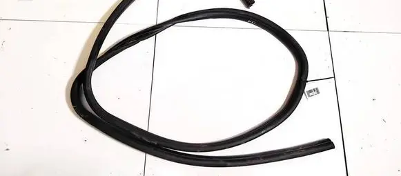 Ford Focus C-MAX Rubber seal front coupe door 