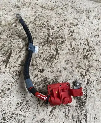 BMW X6 E71 Positive cable (battery) 10057310