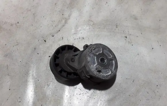 Volvo V50 Timing belt/chain tensioner 30684427