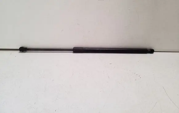 Tailgate/trunk strut/damper