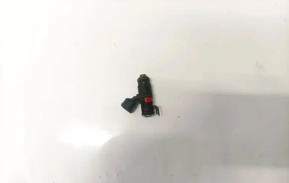 Skoda Roomster (5J) Fuel injector 7333n05873