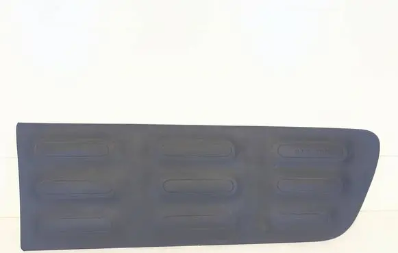 Citroen C4 Cactus Front door trim (molding) 9801023480