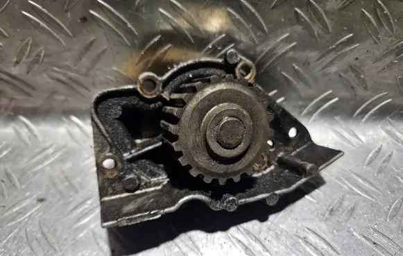 Peugeot 406 Water pump