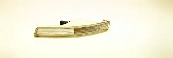 Volkswagen PASSAT B6 Front indicator light 3C0953041E