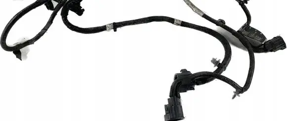 Other wiring loom
