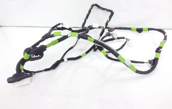 Rear door wiring loom