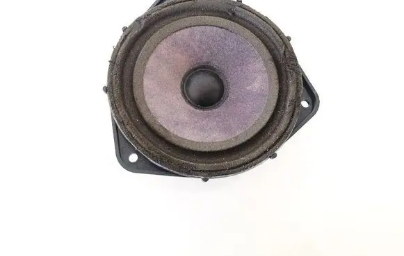 Front door speaker