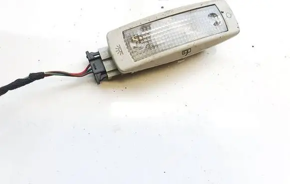 Skoda Yeti (5L) Rear seat light 5n0947291a