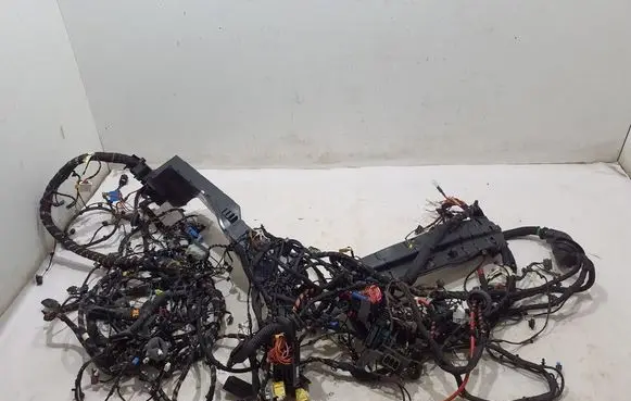 Other wiring loom