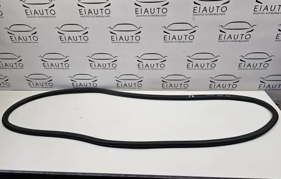 Ford Fusion II Front door rubber seal