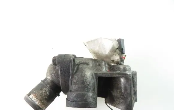 Thermostat/thermostat housing